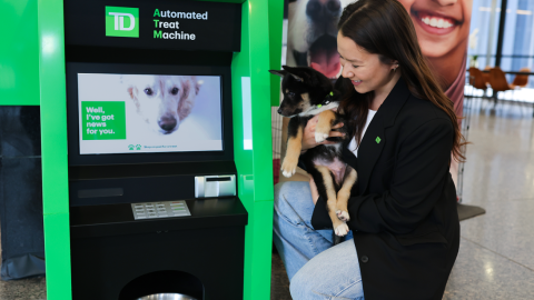 Dog ATM TD